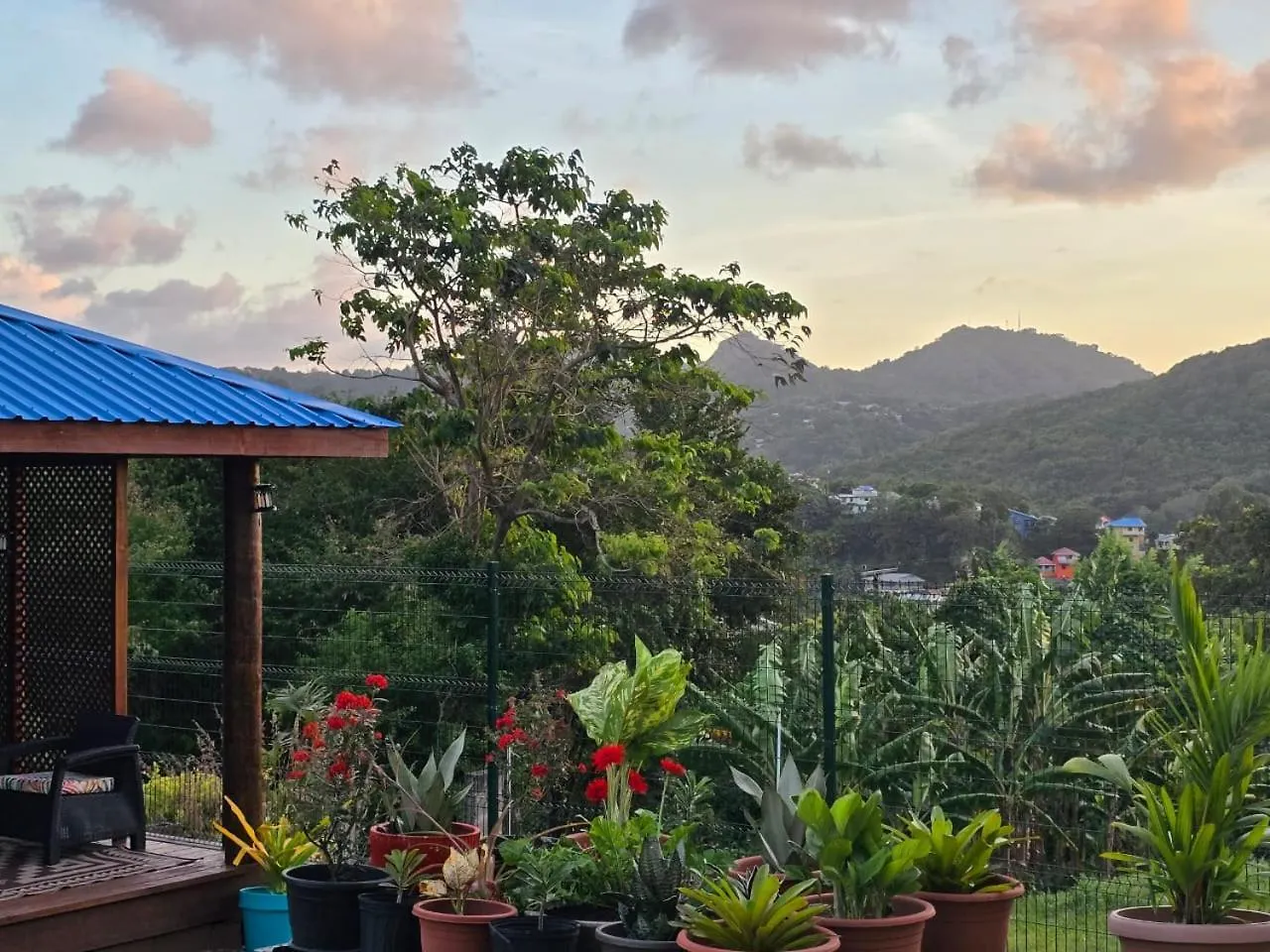 Balacasa - The Escape Castries